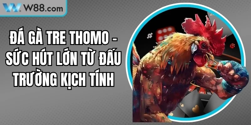 Đá Gà Tre Thomo