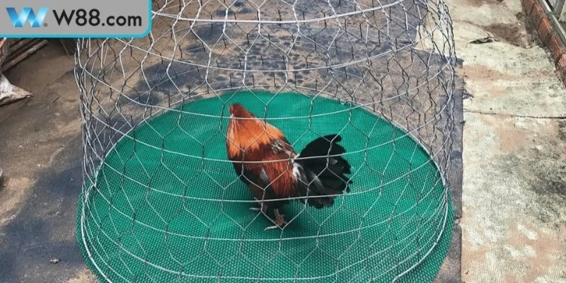 Các lưu ý khi áp dụng phương pháp tăng sức bền